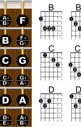 Miniatura 4 de A New Song Music Diapasón de guitarra para zurdos y tabla de acordes - Póster instructivo para principiantes de la mano izquierda de 11 x 17