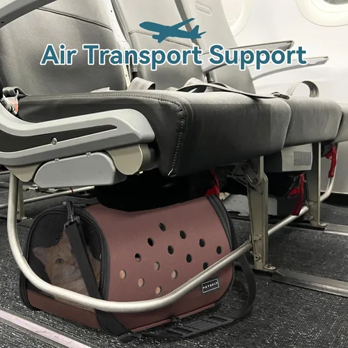 Miniatura 5 de Petsfit Transportador de conejos, 16 x 9 x 9 pulgadas, transportador portátil con orificios de ventilación, transportador de conejillos de indias