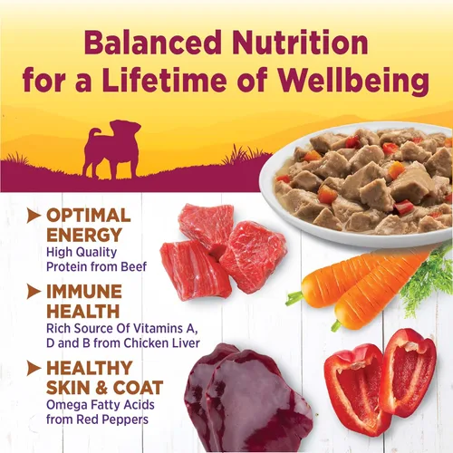 Miniatura 2 de Wellness Petite Entrées Mini-Filetes con Carne Asada, Zanahorias y Pimientos Rojos en Salsa, Taza de 3 Onzas (Paquete de 12)