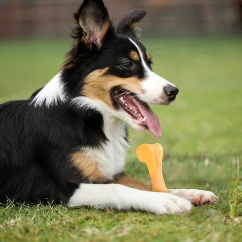 Miniatura 5 de Tikaton Juguetes masticables para perros para masticadores agresivos, sabor a pollo, juguetes masticables duraderos para dentición de perros, huesos