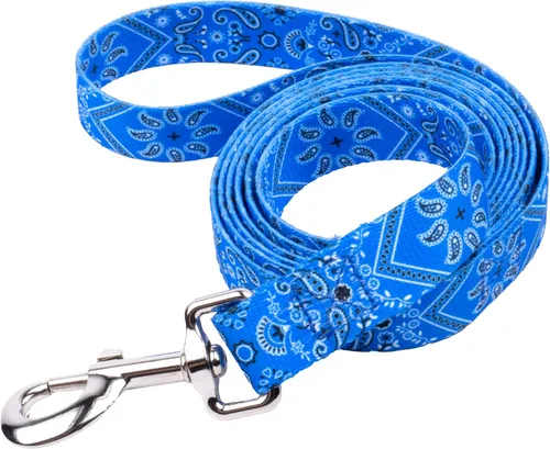 Miniatura 13 de Country Brook Design® Correa para perro Native Arizona de 1 pulgada - 6 pies Arizona nativa