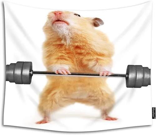 Moslion Tapiz divertido de ratones pequeños lindos animales hámster, gimnasio, deporte, humor, mascota, fuerte resistencia, tapiz colgante de pared