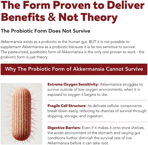 Miniatura 5 de AK-Postbio: Akkermansia Probiotic 30 mil millones de TFU - Fuerza máxima, dosis clínicamente validada y cepa patentada - Forma pasteurizada