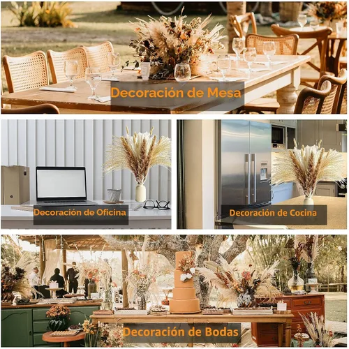 Miniatura 7 de 110 piezas de decoración bohemia de hierba de pampa, pompas secas naturalmente, colas de conejo, flores secas y eucalipto seco. Perfecto para bodas