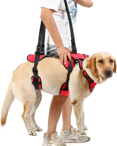 Miniatura 6 de NOYAL Arnés de elevación para perros para mascotas mayores y lesionadas – Cabestrillo de soporte de cuerpo completo con malla transpirable, Rojo 1