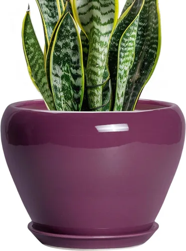 Miniatura 65 de Maceta de Cerámica Moderna con Esmalte para Suculentas con Agujero de Drenaje y Platillo, Maceta Redonda de 6 Pulgadas para Plantas de Flores