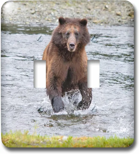 Miniatura 3 de 3dRose Oso pardo persigue después de una cena de salmón en Pack Creek. - Cubiertas de interruptores de luz (lsp-380598-6)