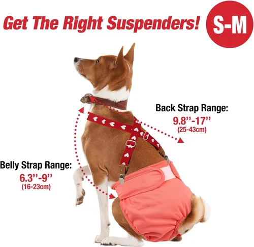 Miniatura 4 de Pet Soft Tirantes para Perros 2 Piezas Tirantes para Pañales de Perras Sujetador de Pañales Tirante para Falda de Perrito, Vestido, Pañales