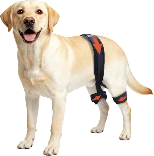 Miniatura 8 de Soporte de cadera para perro para displasia de cadera, soporte ajustable de cadera para perro con compresión específica, estabiliza