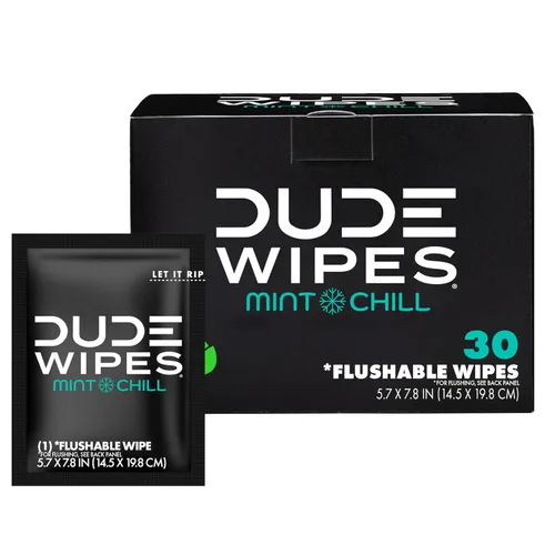 DUDE Wipes On-The-Go Mint Chill - Toallitas de viaje – 30 unidades (envueltas individualmente) – Toallitas desechables extragrandes para adultos –