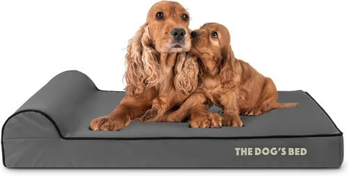 Miniatura 48 de The Dog's Bed - Cama Ortopédica para Perros con Reposacabezas XL Negra de Felpa, Espuma Viscoelástica, Alivio del Dolor para Artritis, Displasia