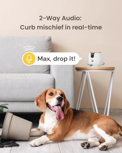Miniatura 7 de Furbo Mini 360° [Nuevo] Cámara para mascotas 2K QHD: Dispensador de premios giratorio para perros y gatos con aplicación para teléfono, cámara