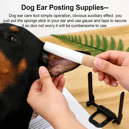 Miniatura 3 de Herramienta de soporte para orejas de perro, kit de publicación de orejas de perro con cinta y 2 barras de corrección fijas verticales