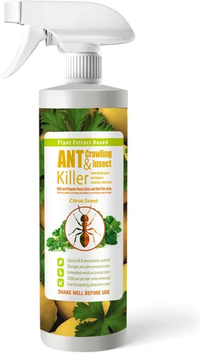 EcoRaider insecticida y hormiguicida (aroma de cítricos) de 16 oz, natural y no tóxico