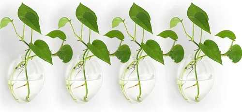 NUPTIO Terrario de pared para maceta colgante: soporte para plantas de vidrio, 4 jarrones de plantación de agua, contenedor de suculentas, macetas