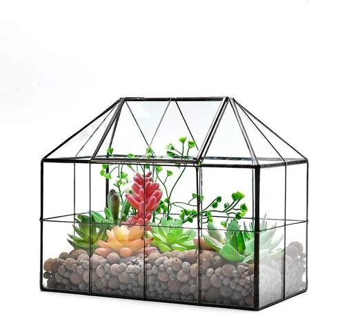 Miniatura 5 de Maceta grande de vidrio para casa de terrario – Invernadero de vidrio para plantas suculentas con tapa 9.8 x 7.9 x 5.9 pulgadas NA