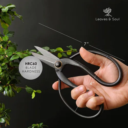 Miniatura 3 de Tijeras profesionales de mariposa bonsái - Herramientas de bonsái para podar y recortar plantas, tijeras afiladas, herramientas manuales