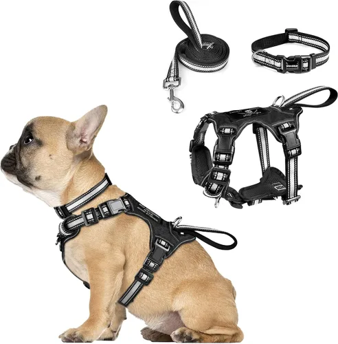 Miniatura 9 de WINSEE - Juego de arnés, collar y correa para mascotas, todo en uno, arnés reflectante para perros sin tirones con hebillas ajustables para Rojo
