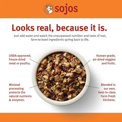 Miniatura 2 de Sojos Alimento seco crudo liofilizado completo para perros adultos, sin granos, natural, receta de carne de res, bolsa de 1.75 libras