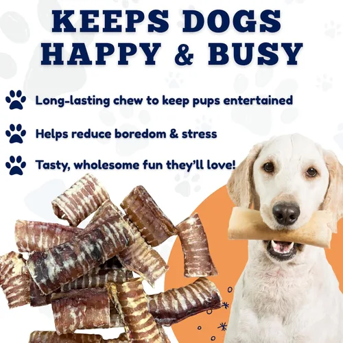 Miniatura 6 de Amazing Dog Treats - Anillos de tráquea de ternera (3-4 pulgadas, 12 unidades) -Masticables prémium para perros- Ideal para perros de tamaño pequeño