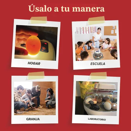 Miniatura 9 de Incubadora de huevos Harris Farms Nurture Right para incubar pollitos, con capacidad para 12-22 huevos, con volteador automático y control