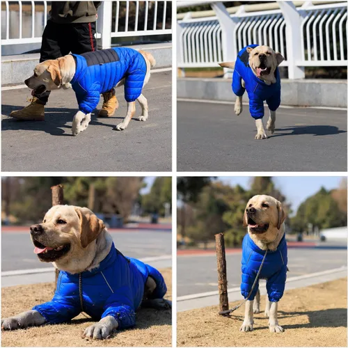 Miniatura 7 de Lovelonglong Abrigo para perro, chaqueta cálida para perro, 4 patas cubiertas, impermeable, resistente al viento, reflectante, chaleco cálido
