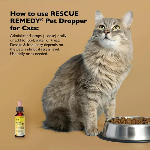 Miniatura 3 de Rescue Remedy Pet Dropper para gatos – 0.3 onzas líquidas – Soporte de estrés y tensión para gatos con esencias florales naturales de Bach – Fórmula