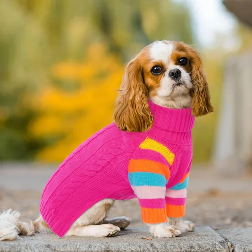 Miniatura 5 de Suéter frío para perro, suéteres de invierno para perros medianos, hembras y machos, suéter cálido de cuello alto para perros, suéter de manga Rosa