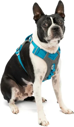 Miniatura 13 de Arnés para perro Kurgo Journey Air - Ajuste seguro para perros activos - Pecho acolchado - Tela Ripstop ligera - Malla transpirable - Borde Rojo