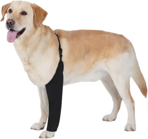 BARKLESS Traje de recuperación para perros para pierna delantera después de la cirugía, manga transpirable para pierna delantera de perro para