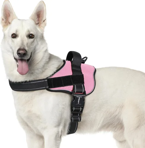 Miniatura 10 de rabbitgoo Arnés para perro de tamaño pequeño, chaleco para mascotas sin tirones, sin estrangulamiento, fácil de llevar con una hebilla, reflectante