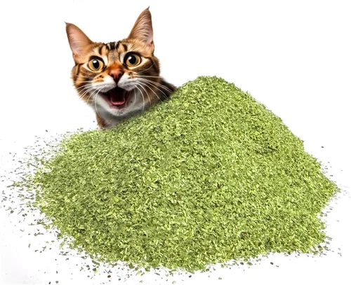 Miniatura 6 de Fiend Hierba gatera + Silvervine para gatos y gatitos Mezcla de nip fina premium de corte seguro con vid plateada vegana + ultra potente, América