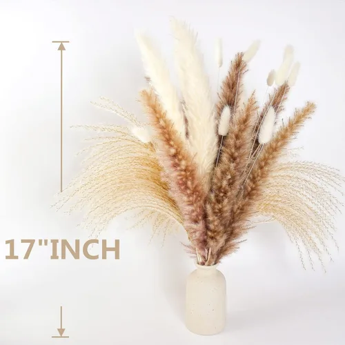 Miniatura 3 de Decoración de hierba de pampa seca natural, 100 piezas de hierba de pampa que contiene colas de conejo blancas flores secas, ramo de hierba de caña