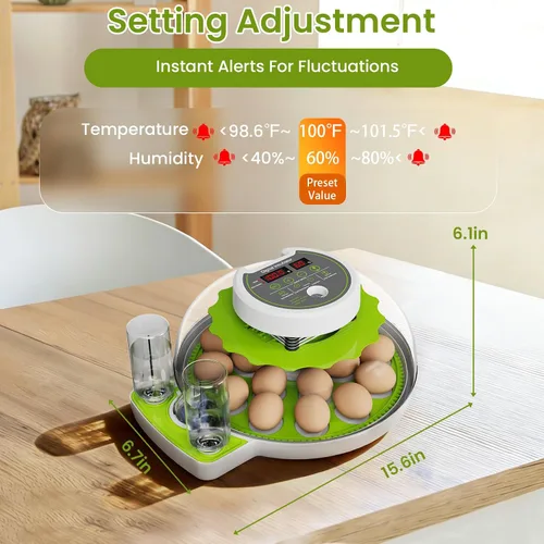 Miniatura 7 de Incubadora de 18 huevos con giro automático de huevos y control de humedad, vista panorámica HD, vela integrada para incubar pollo, pato, granjas