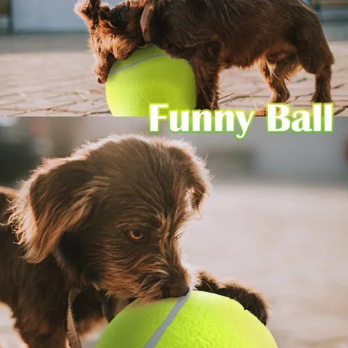 Miniatura 4 de Pelota de tenis grande para perros Banfeng, pelota de deporte gigante de 24 cm para perros, juguete interactivo para mascotas, regalo de cumpleaños