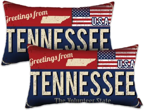 Miniatura 19 de Juego de 2 fundas de almohada de Florida de 12 x 20 pulgadas, decoración de recuerdo de Florida, funda de almohada lumbar con diseño de bandera