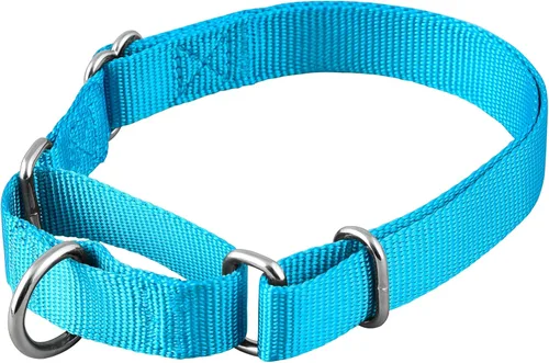 Miniatura 6 de Native Pup Collar básico de nailon para perro, ajustable para mascotas y cachorros pequeños, medianos y grandes, bonitos colores para hombres