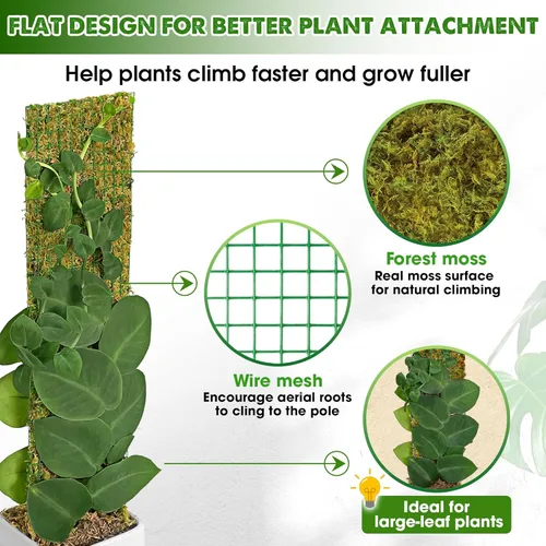 Miniatura 5 de DUSPRO Postes de musgo de malla plana para plantas trepadoras, Monstera, poste de musgo apilable para plantas con musgo real, poste para plantas