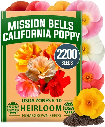 Miniatura 111 de HOME GROWN Mezcla de semillas germinantes de primera calidad, microgreens 118,200 semillas para cultivo en interiores, brócoli, alfalfa, rábano