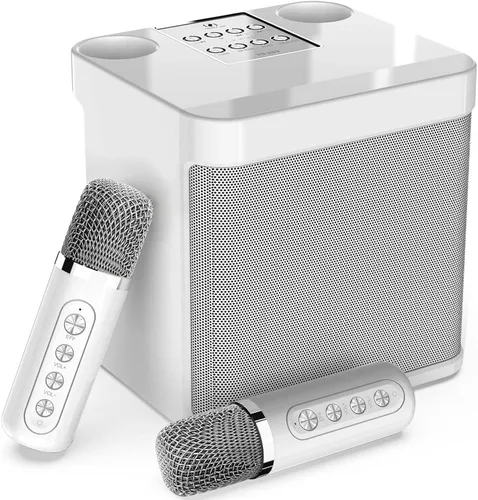 Máquina de karaoke Flyasny para adultos y niños, altavoz Bluetooth portátil con 2 micrófonos inalámbricos para TV, karaoke para cantar en fiestas en