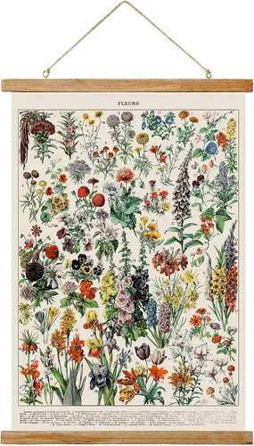 Miniatura 28 de Ovfovy Póster vintage de hongos con marco de madera, estilo retro de pintura botánica de pared, póster de tabla de referencia ilustrativa para sala