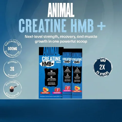 Miniatura 2 de Animal Creatina HMB en polvo – 0.11 oz myHMB + 0.18 oz de creatina con electrolitos para recuperación y energía diaria – Power Punch (3) y Dragon