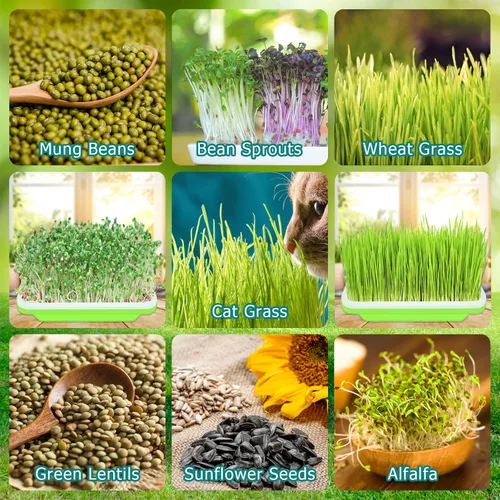 Miniatura 6 de Legigo Paquete de 10 bandejas de germinación de semillas verdes, bandeja de germinación de cultivo sin tierra, bandeja de vivero sin BPA con papel