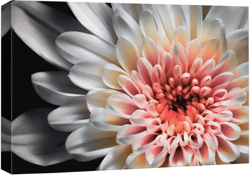 Miniatura 41 de Wall26 - Lienzo decorativo para pared - Decoración moderna para el hogar, obra de arte 01, 12" x 18