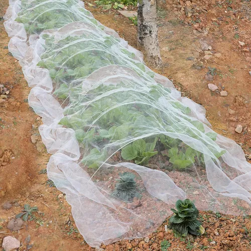 Miniatura 6 de Barrera de malla de jardín de 10 x 50 pies, red de plantas de árboles frutales para vegetales, arbustos de arándanos, cubierta de fila, protección 1