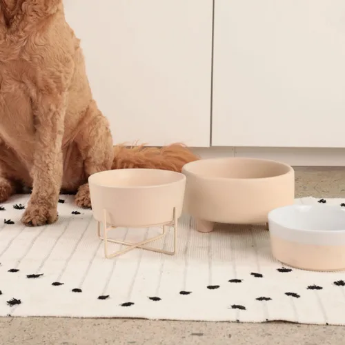 Miniatura 2 de Waggo Uplift - Tazón de cerámica para perros para razas pequeñas, medianas y grandes, pesado y duradero, para alimentos y agua, apto para Crema