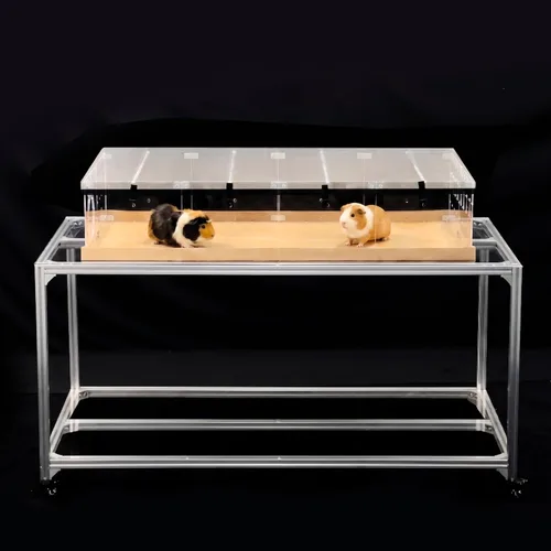 Miniatura 10 de GuineaLoft™ Model-A - Jaula acrílica para conejillos de indias – Jaula grande expandible de 4 x 2 pies, funciona también para pequeños animales