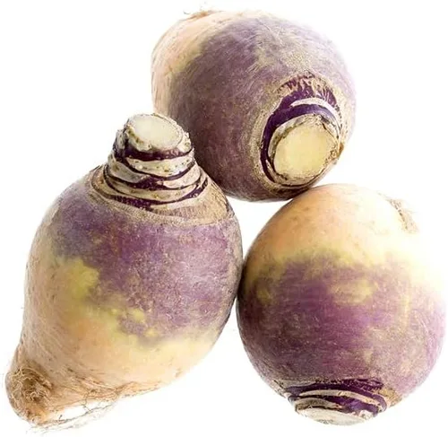 Miniatura 2 de Rutabaga (parte superior púrpura americana), más de 150 semillas de reliquia por paquete, semillas de jardín de Isla (semillas de jardín de Isla)