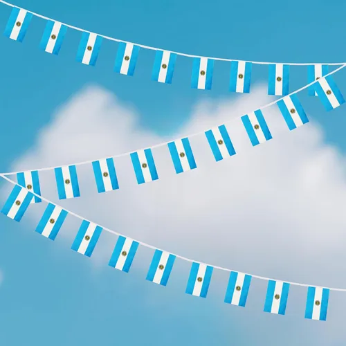 Miniatura 4 de Bandera de Cuerda Argentina de 100 Pies, 76 Piezas Bandera Estandarte Argentina, Pequeñas Mini Banderas del Mundo para Eventos Deportivos
