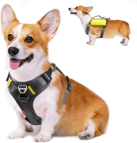 Miniatura 9 de Fida - Arnés resistente para perro, pechera para viaje, campamento o senderismo. Para perro pequeño, mediano y grande, con 2 bolsillos laterales